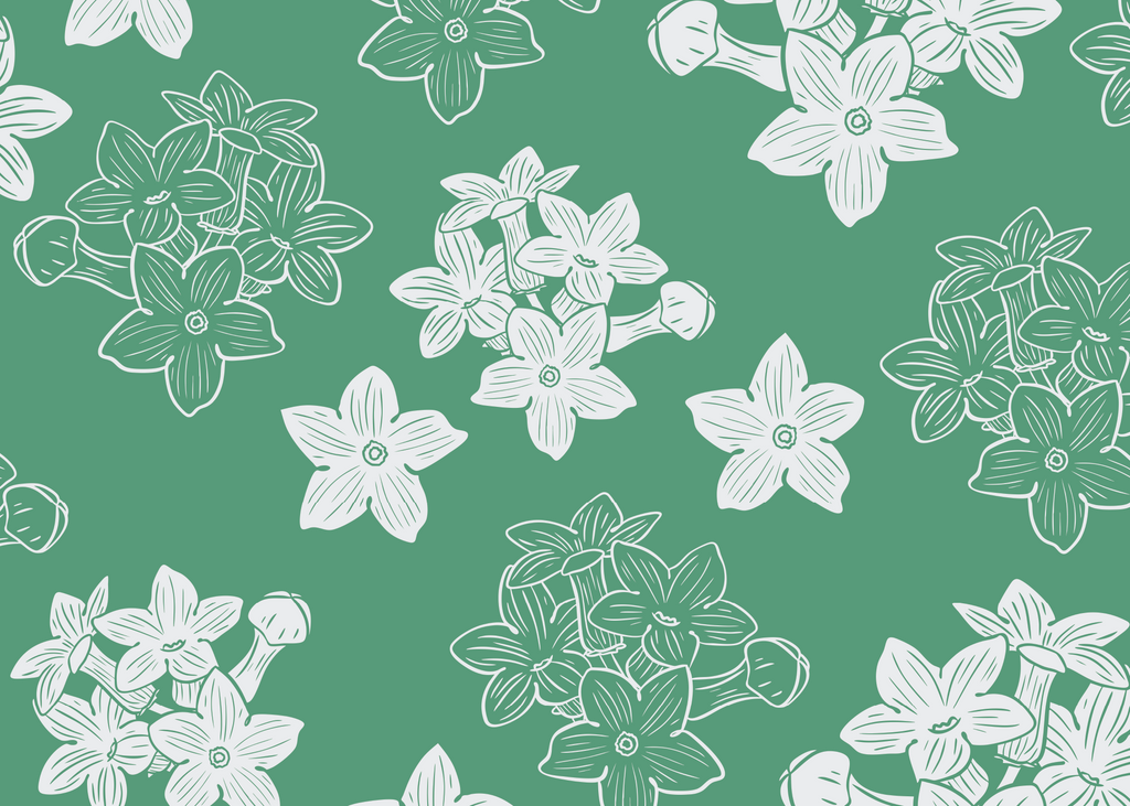 5x7"- Any Occasion Cards