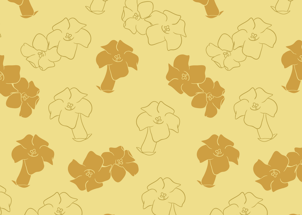 5x7"- Any Occasion Cards